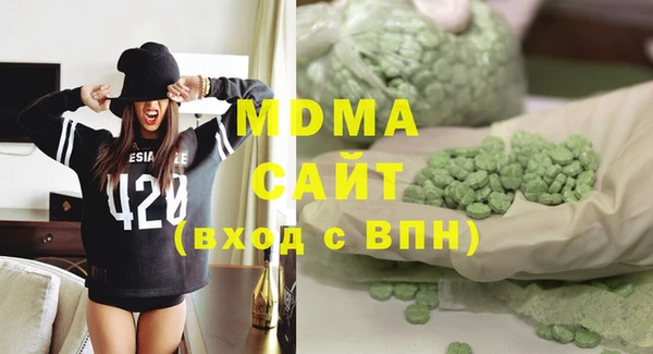 прущие грибы Каменногорск