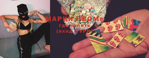 прущие грибы Каменногорск