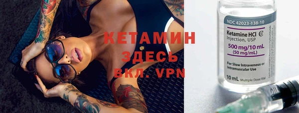 прущие грибы Каменногорск