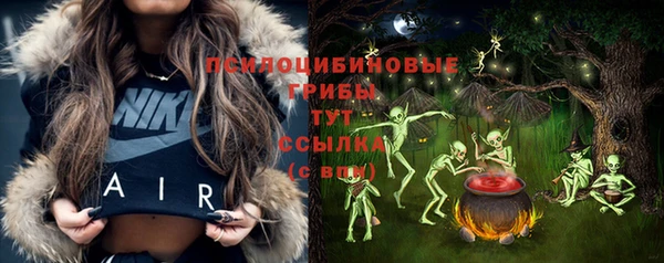 прущие грибы Каменногорск