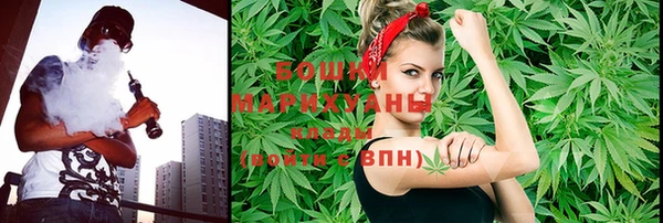 прущие грибы Каменногорск