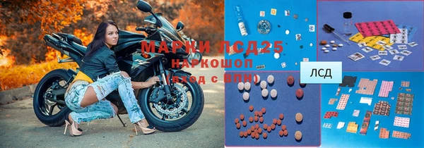 прущие грибы Каменногорск
