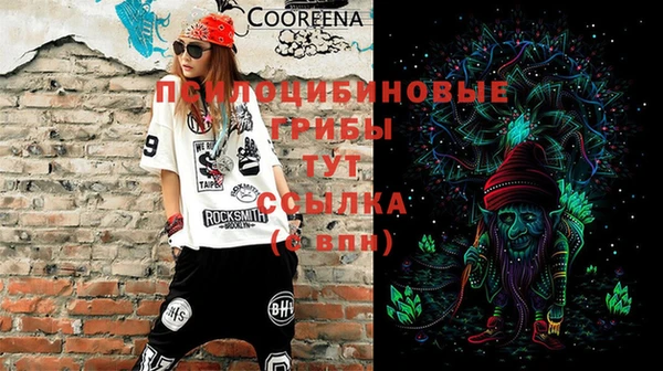 прущие грибы Каменногорск