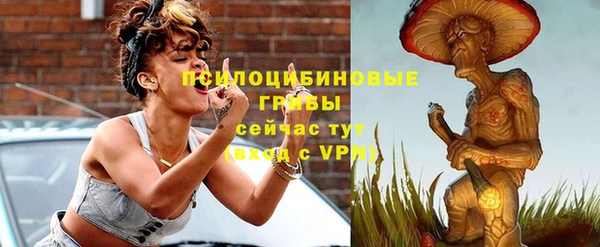 героин Каменка