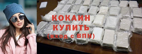 шишки Карпинск