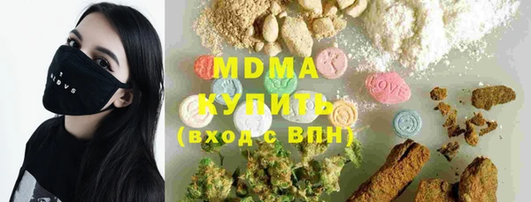 прущие грибы Каменногорск