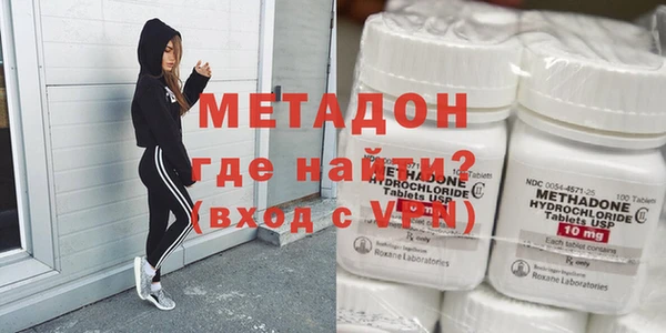прущие грибы Каменногорск