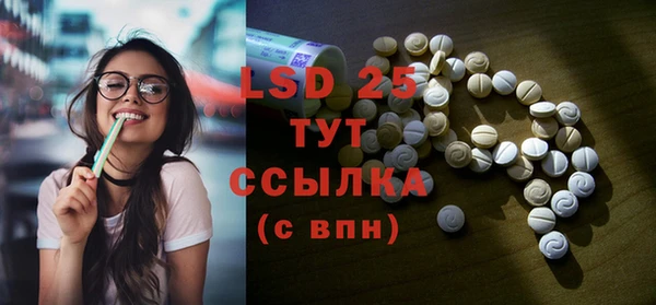 стаф Касимов