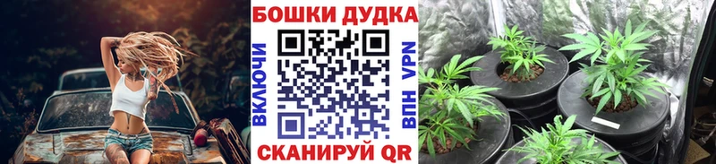 Марихуана White Widow  Сосенский 